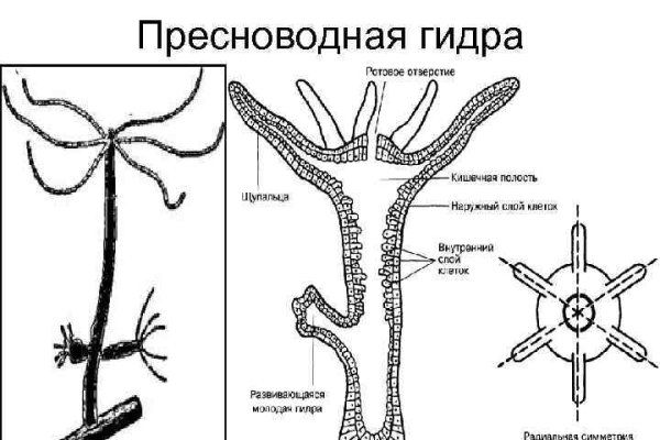 Взломанный аккаунт кракен