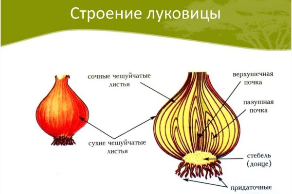 Кракен официальное зеркало